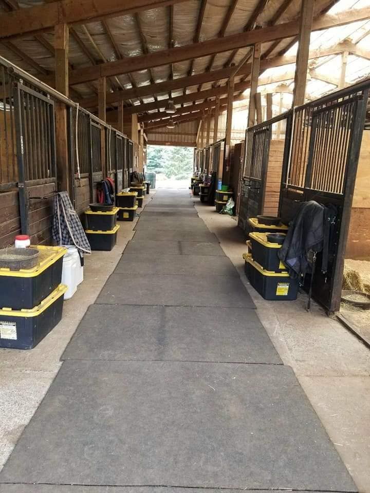 Holcomb Hills Equestrian photo 4
