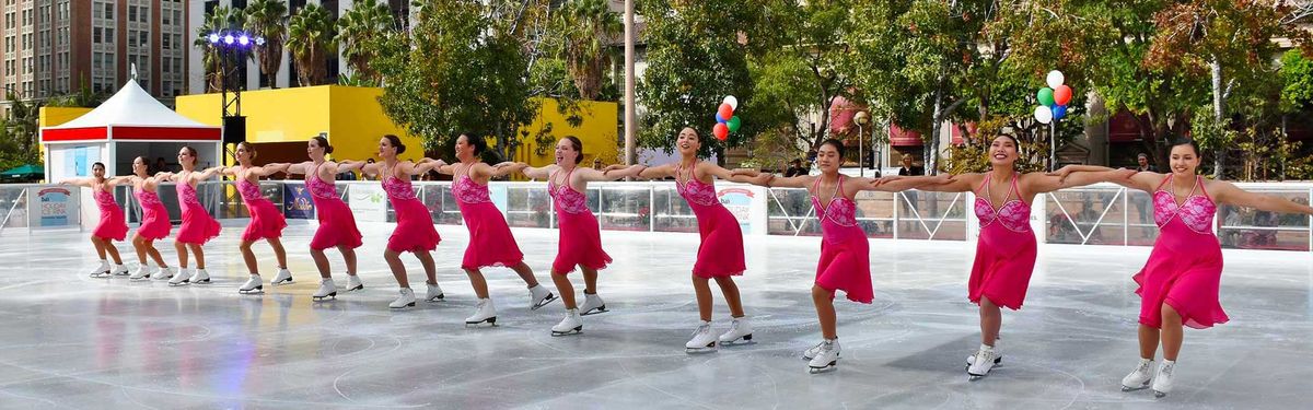 Holiday Ice Rink photo 2