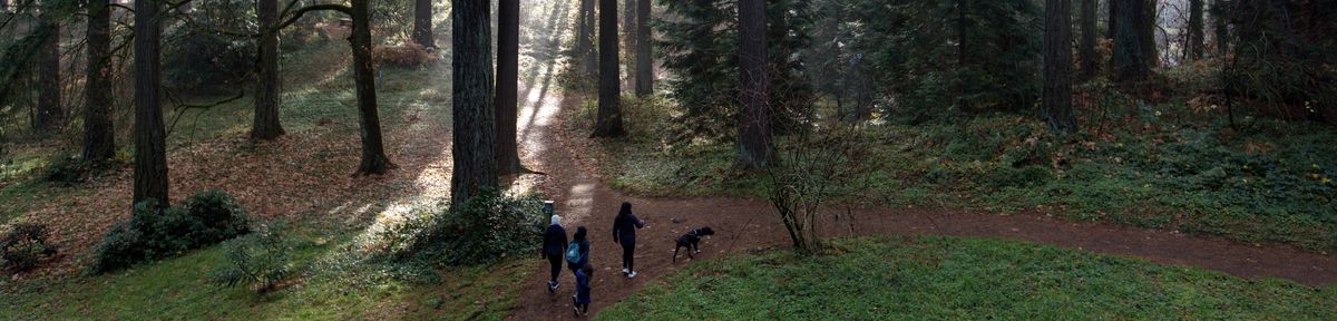 Hoyt Arboretum