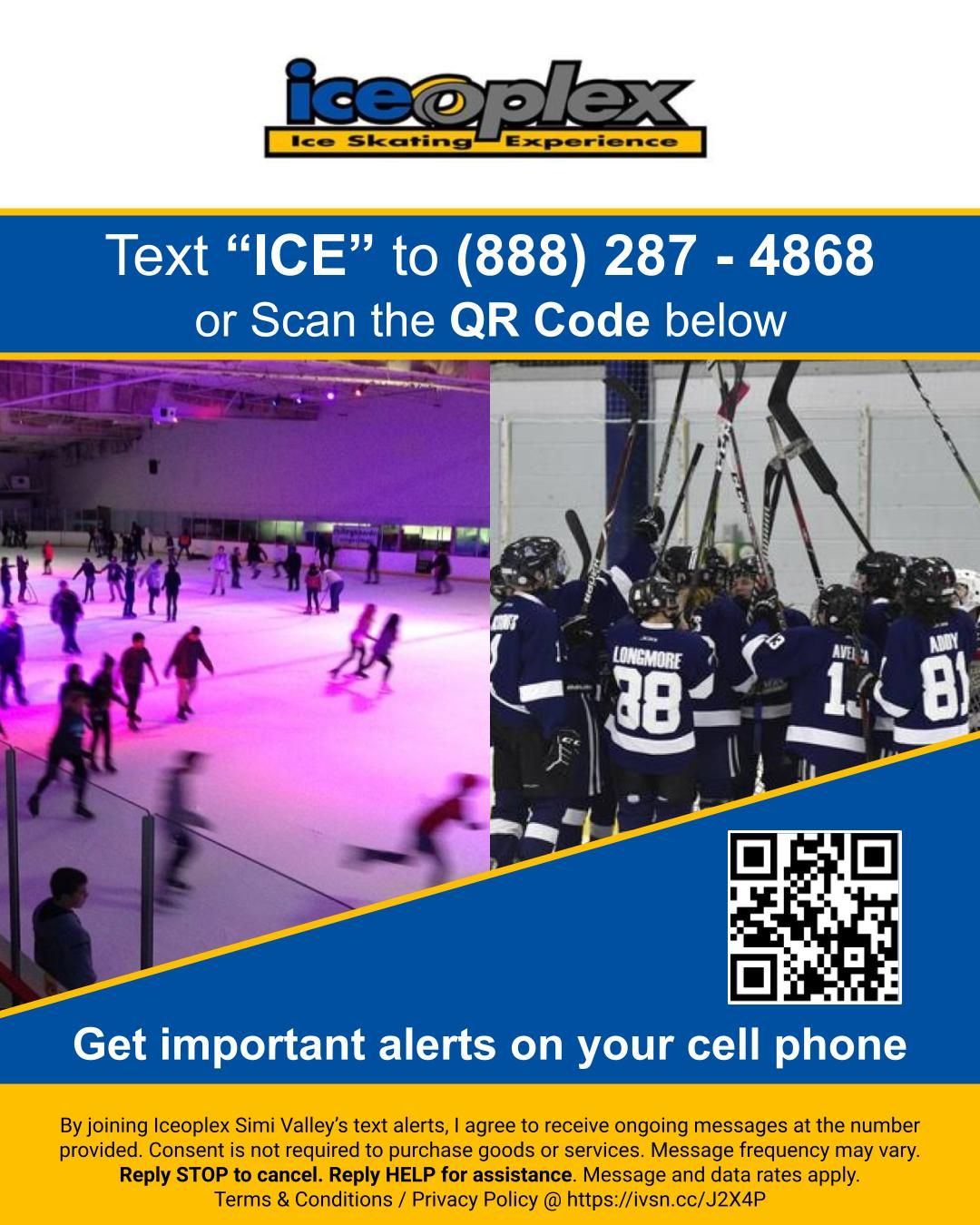 Iceoplex photo 1