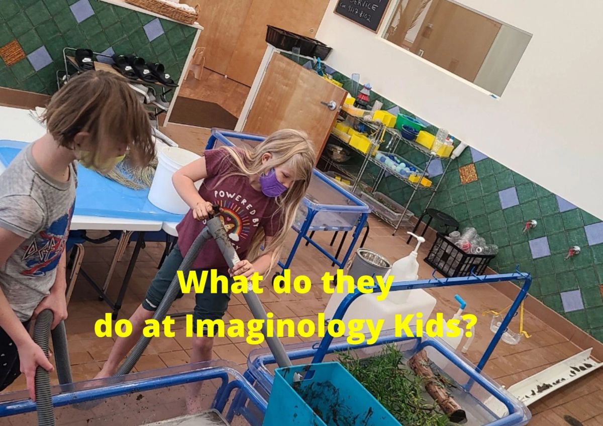 IMAGINOLOGY photo 1