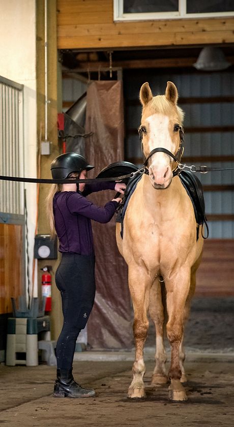 Iron Horse Riding Academy photo 2