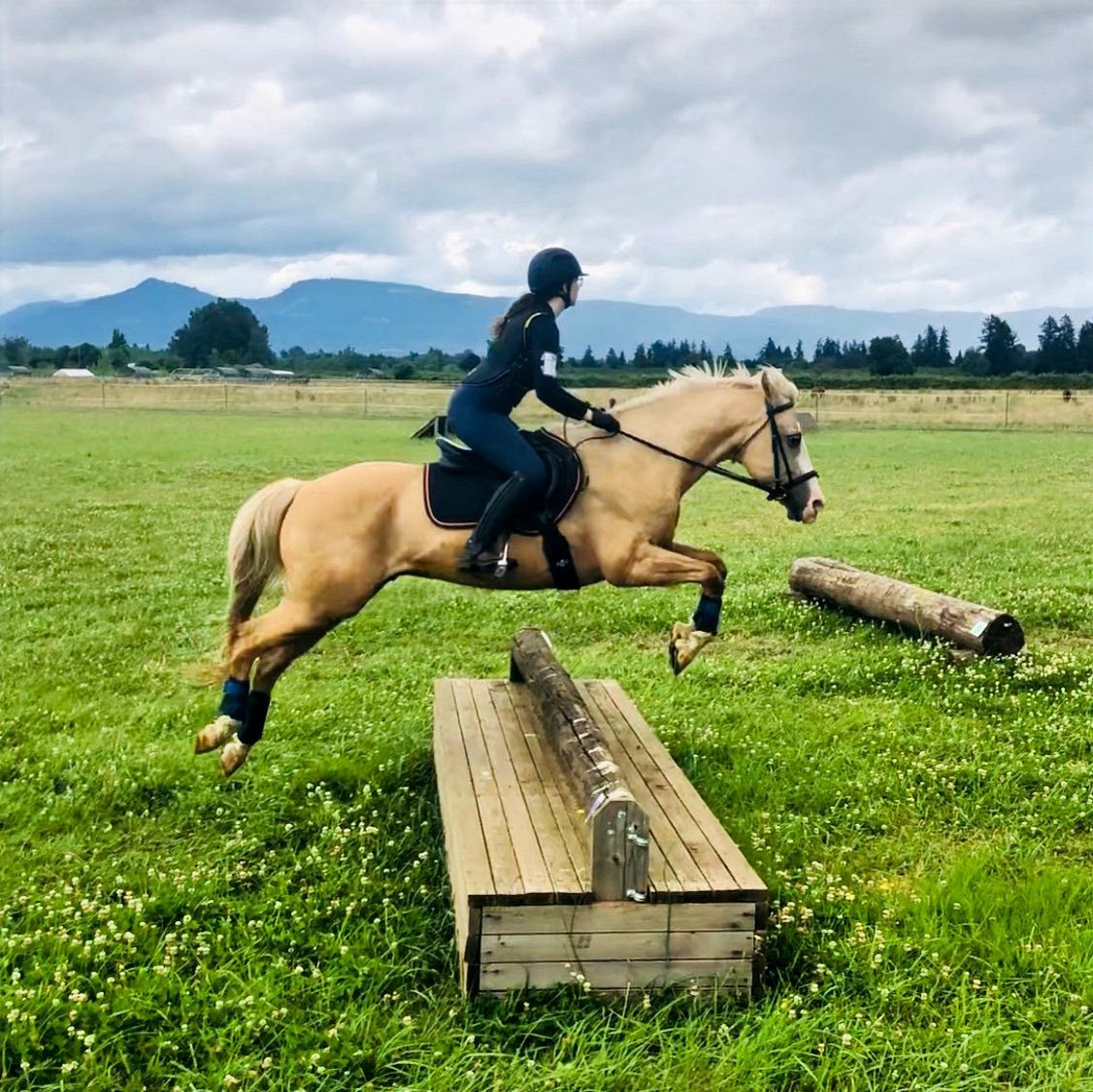 Iron Horse Riding Academy