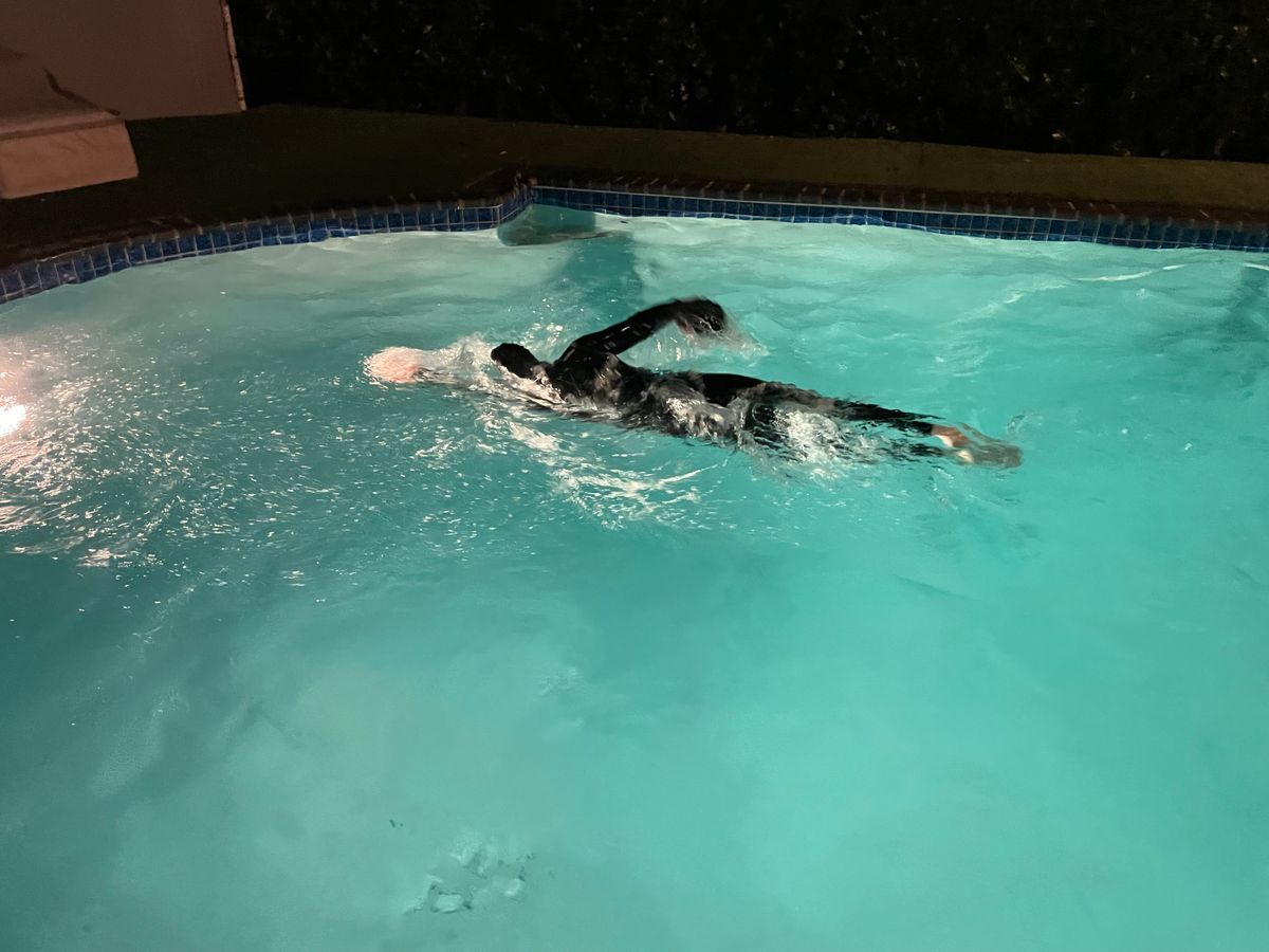 K&K Swimming LA photo 1