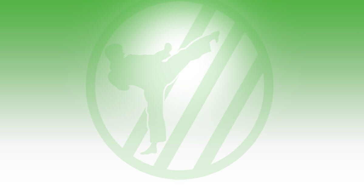 KickForce Martial Arts photo 1