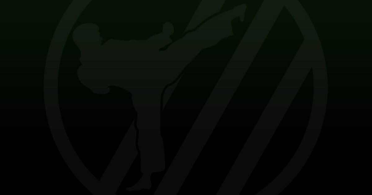 KickForce Martial Arts photo 2