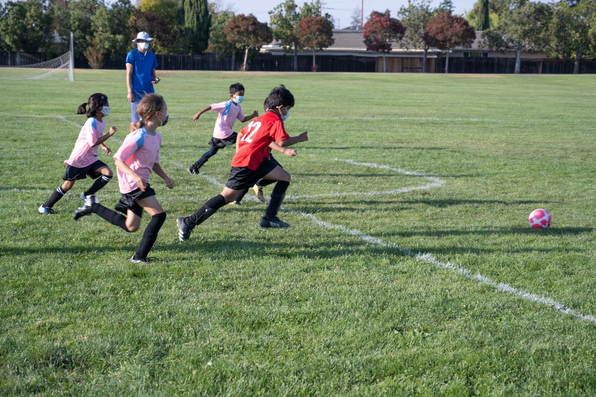 Kids Fanbase Soccer