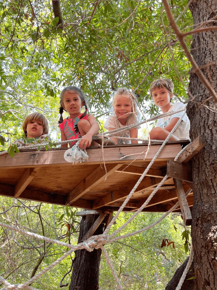LA Nature Kids Preschool and Day Camp photo 3