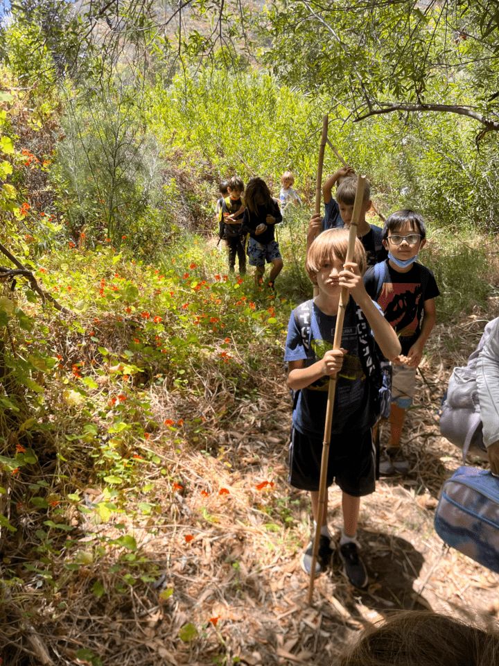 LA Nature Kids Preschool and Day Camp photo 4