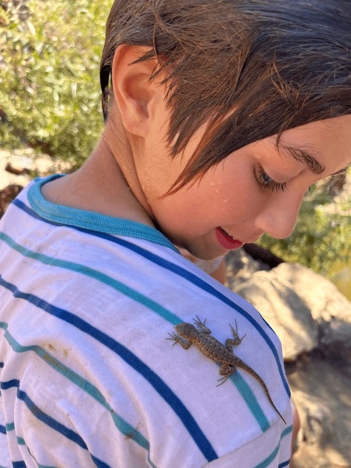 LA Nature Kids Preschool and Day Camp photo 5