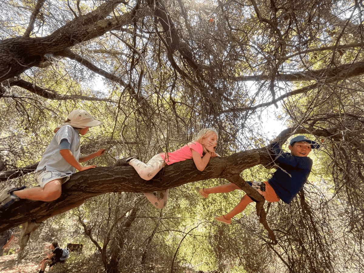 LA Nature Kids Preschool and Day Camp