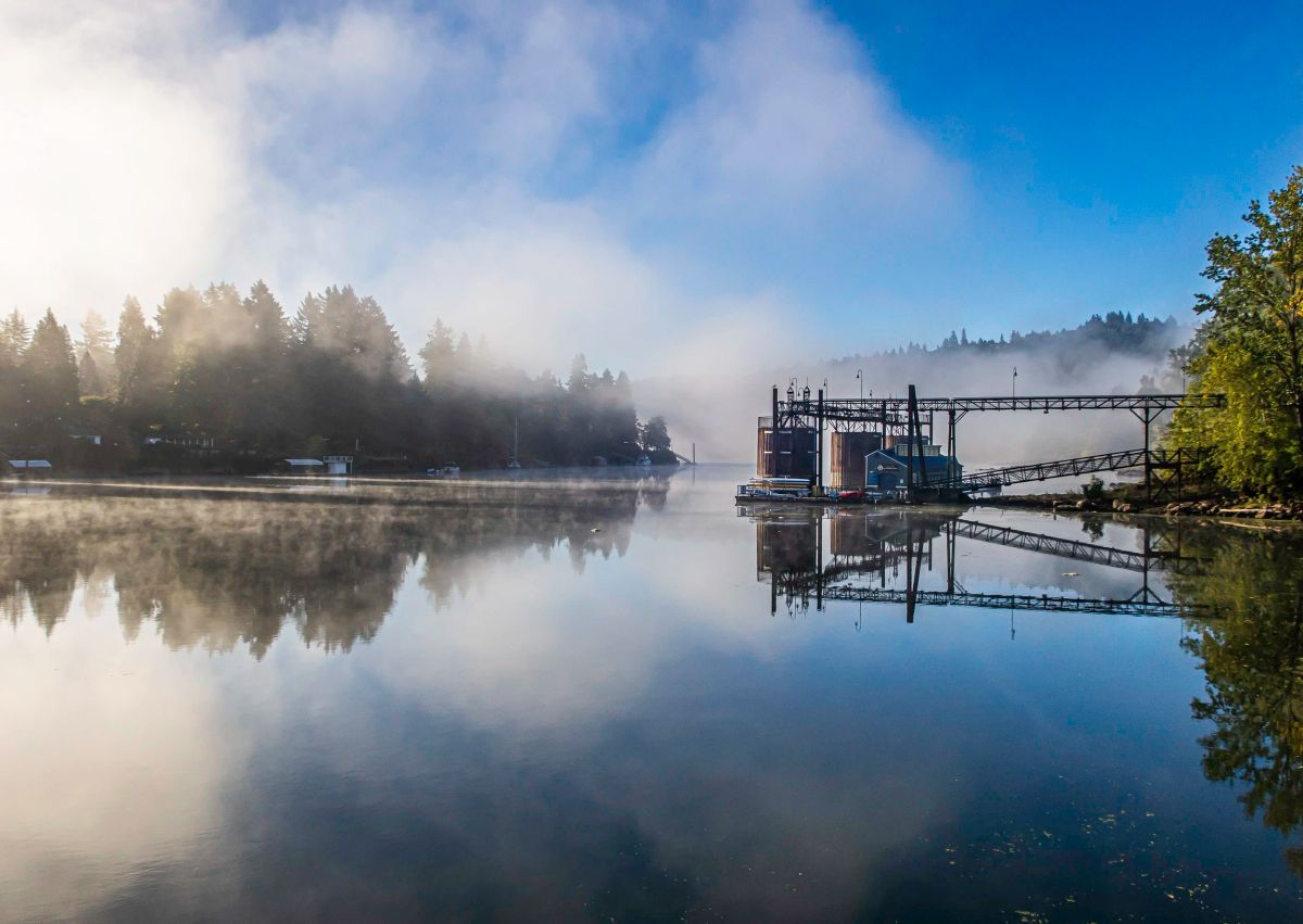 Lake Oswego Community Rowing photo 2