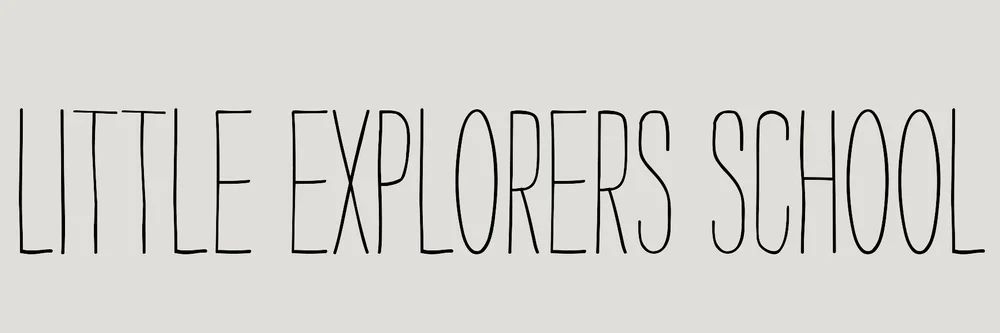 Little Explorers School photo 1