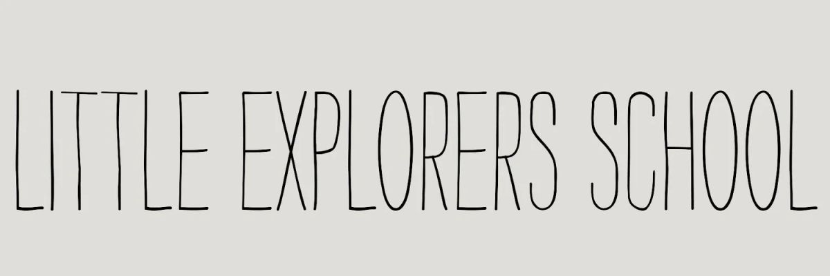 Little Explorers School photo 2