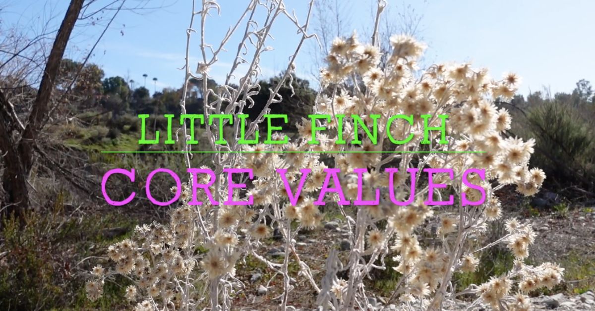 Little Finch Forest School LA photo 1