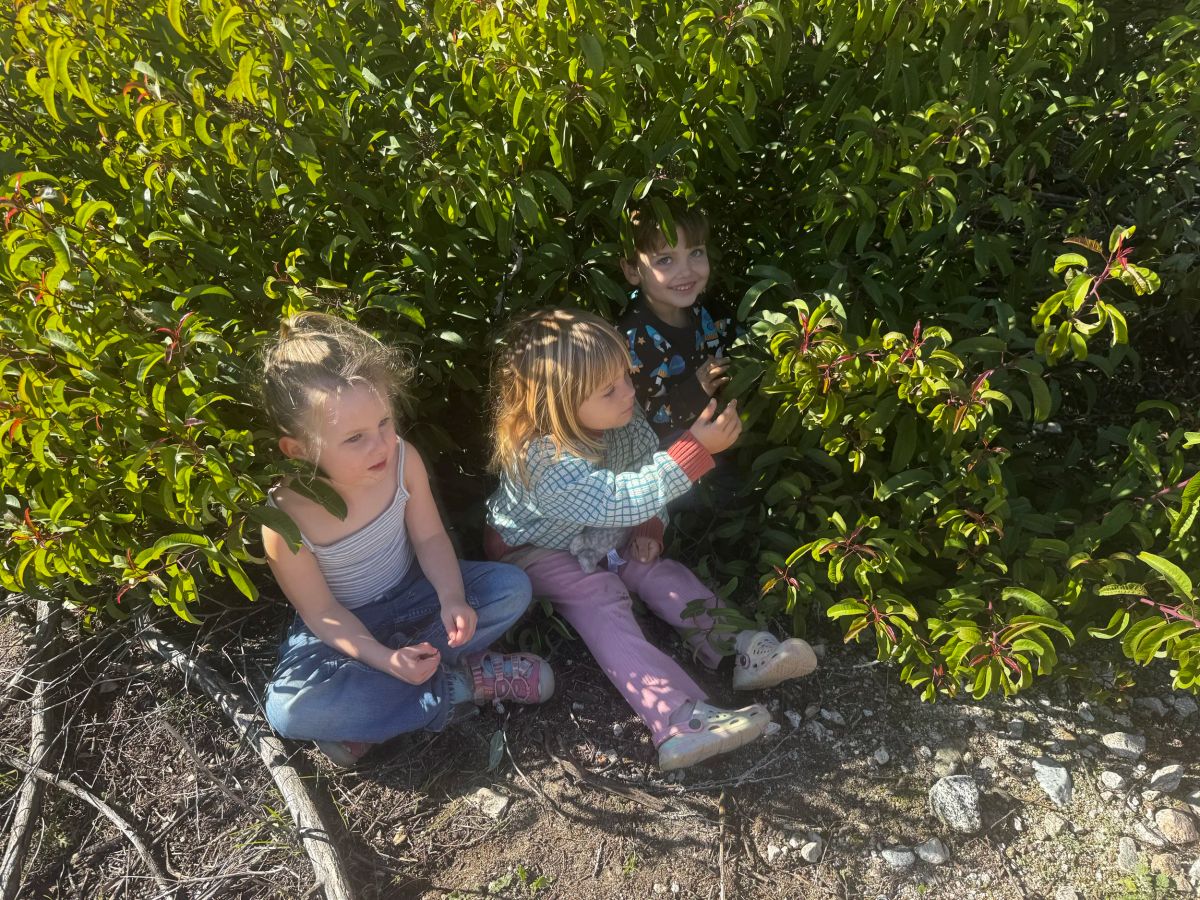 Little Finch Forest School LA photo 2