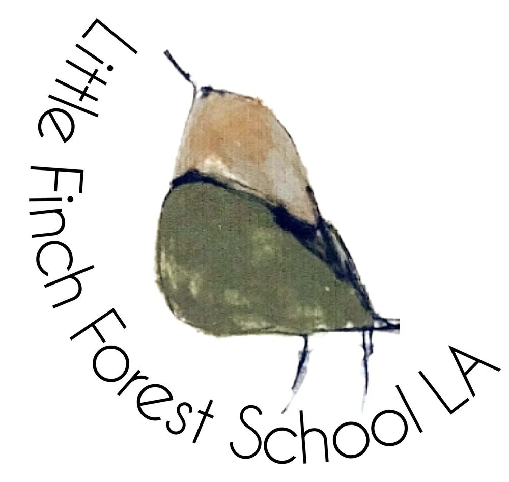 Little Finch Forest School LA