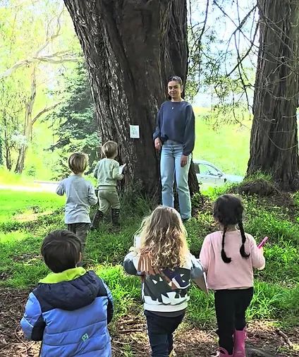 Little Forest Explorers, LLC photo 2