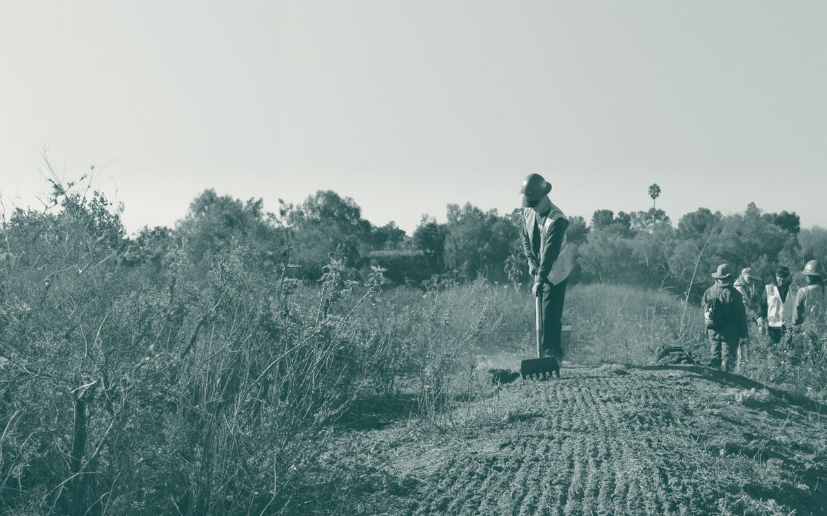 Los Angeles Conservation Corps photo 1