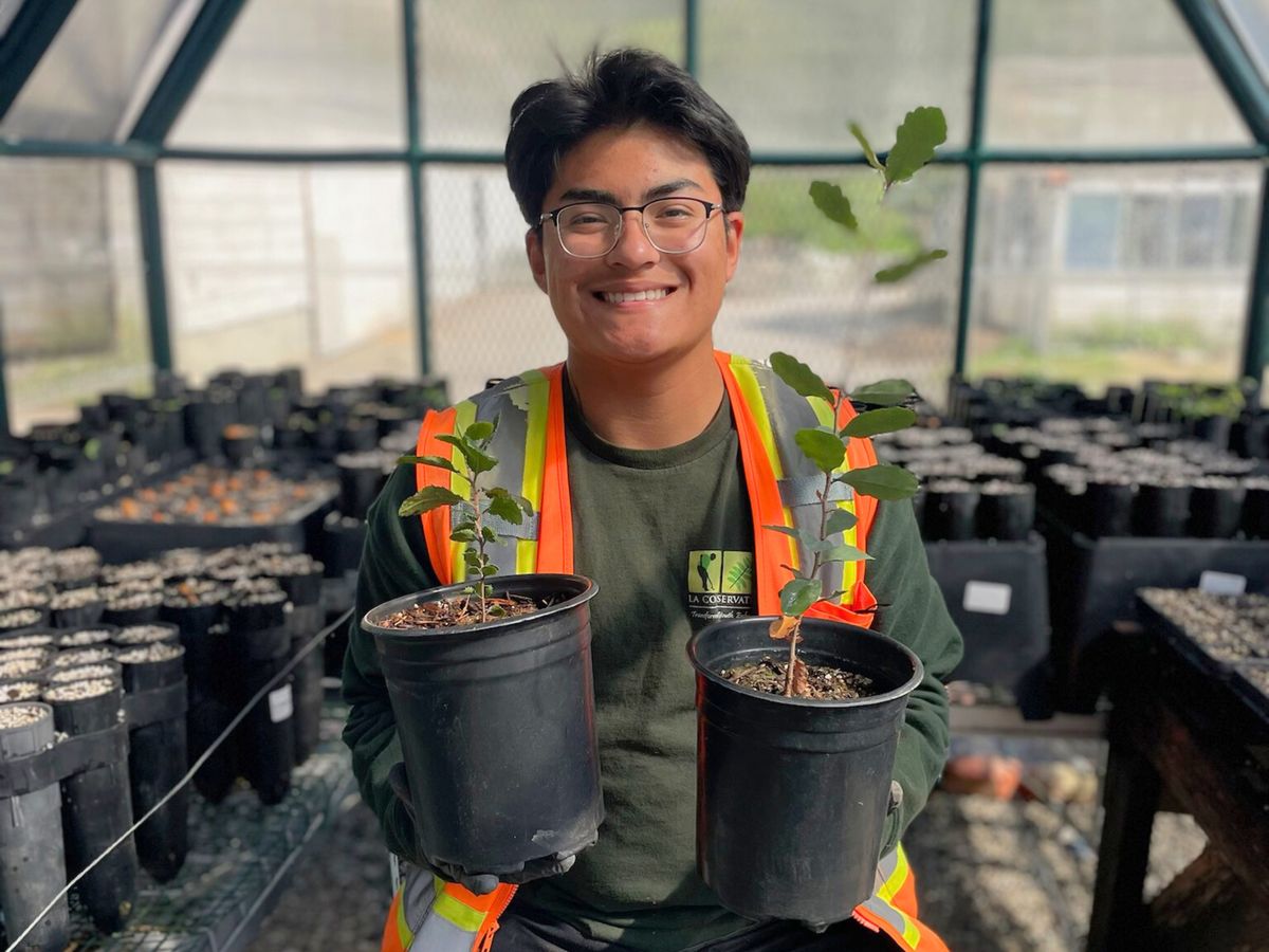 Los Angeles Conservation Corps