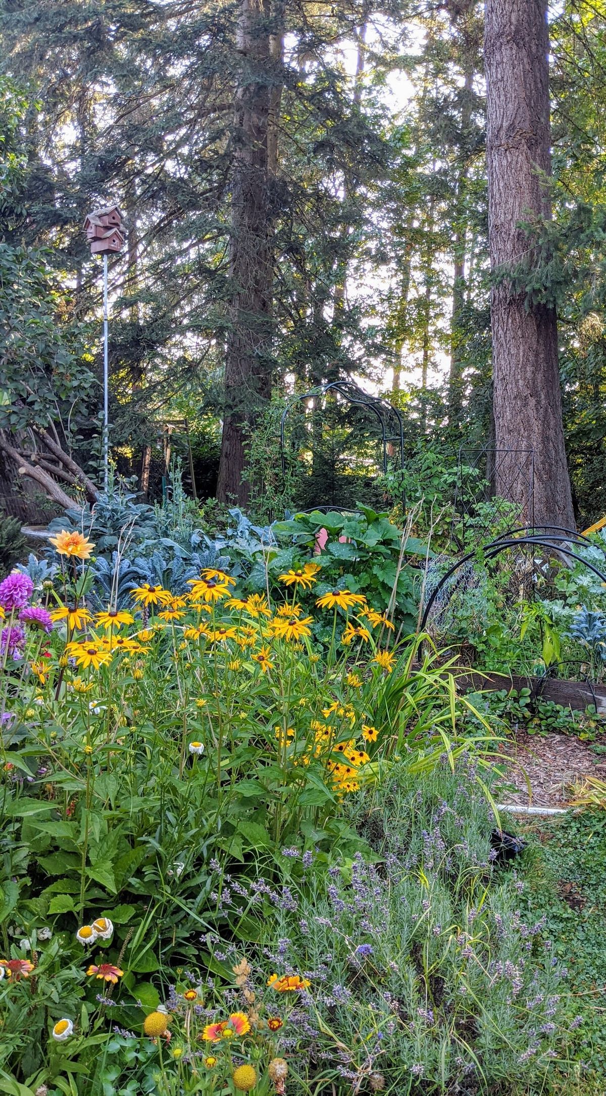Magical Backyard School photo 1