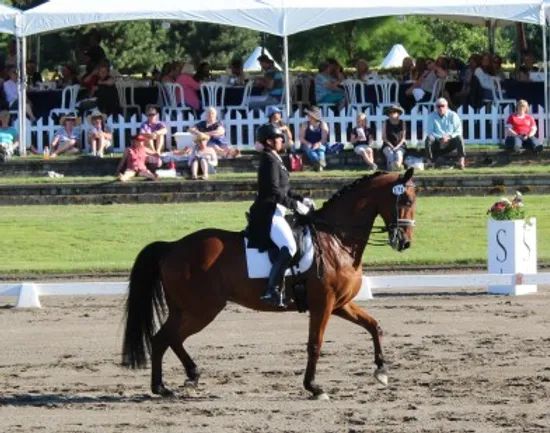 Mercedes Andazola Dressage LLC photo 2