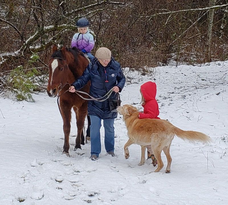Misty Acres horse Lessons and trail rides photo 2