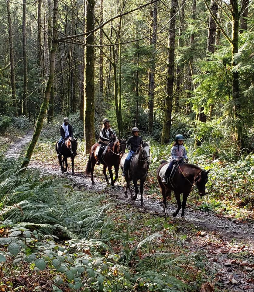 Misty Acres horse Lessons and trail rides