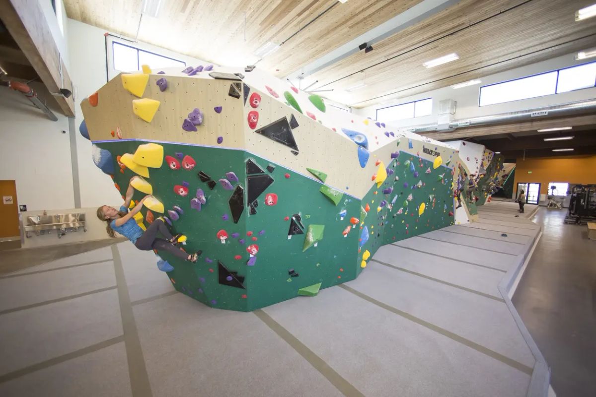 Momentum Indoor Climbing photo 3