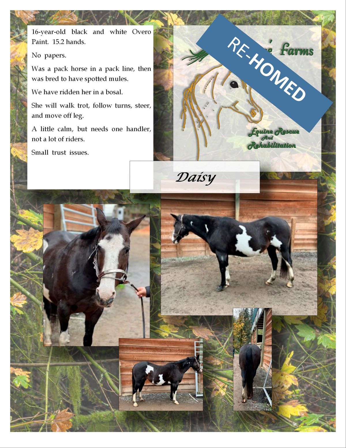 Mone Farms and Training Center photo 2