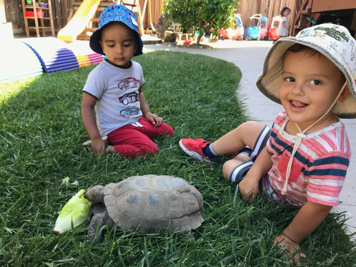 Natural Foundations Preschool photo 2
