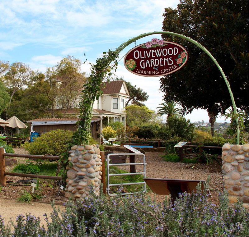 Olivewood Gardens and Learning Center photo 1