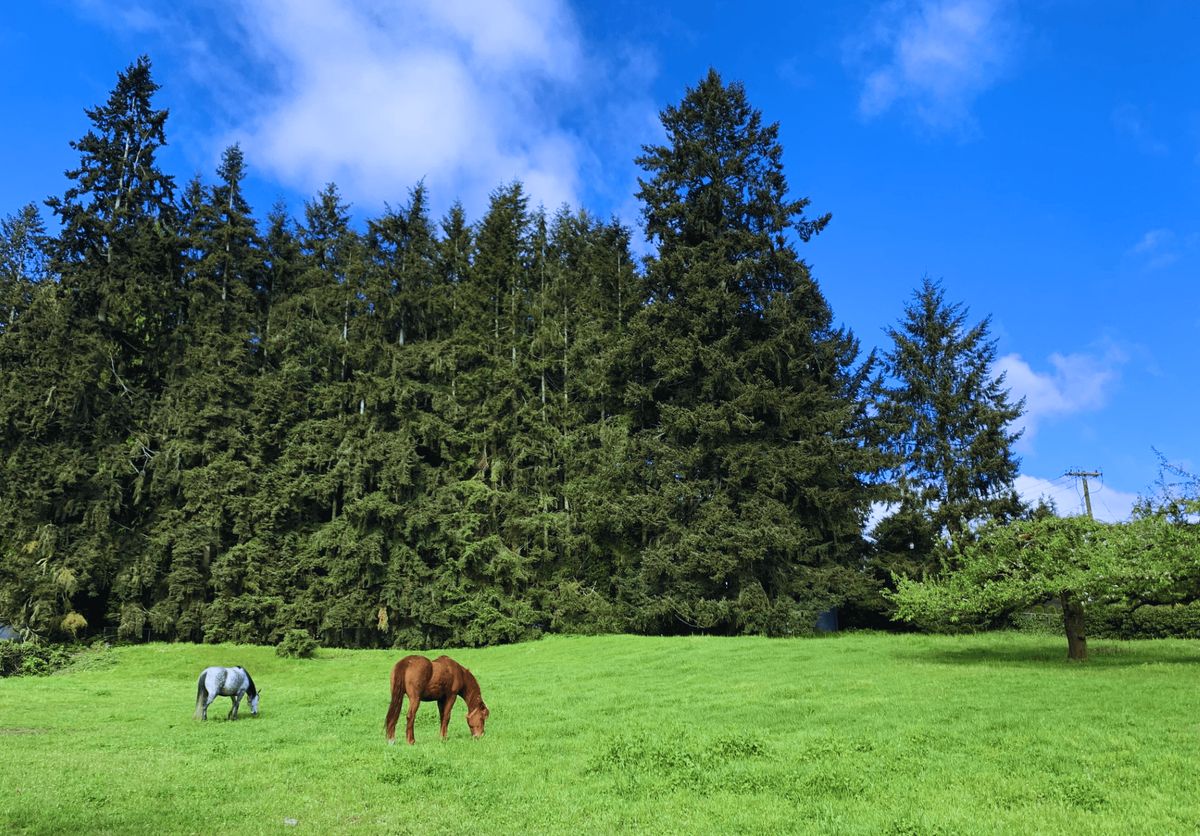 Overlake Farm
