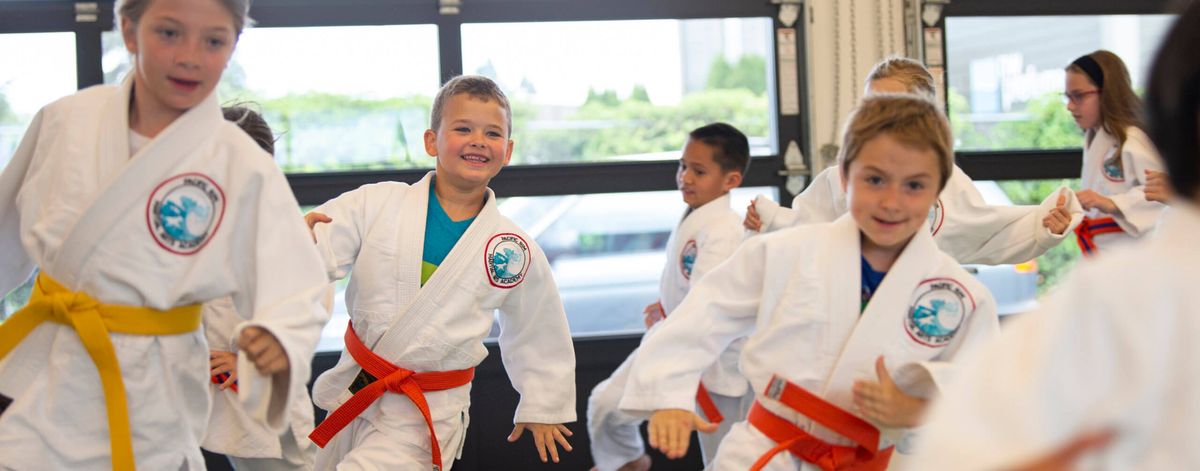 Pacific Rim Martial Arts Academy photo 2