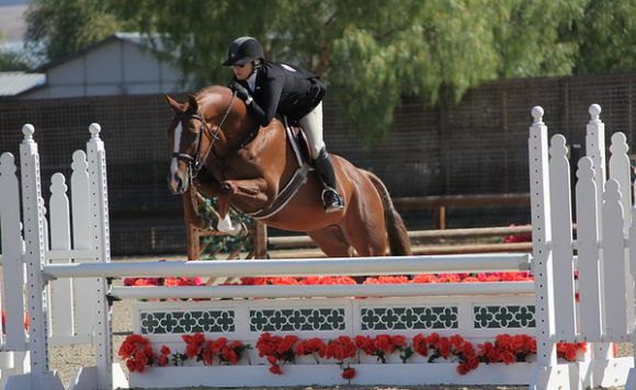 Parkside Stables photo 1