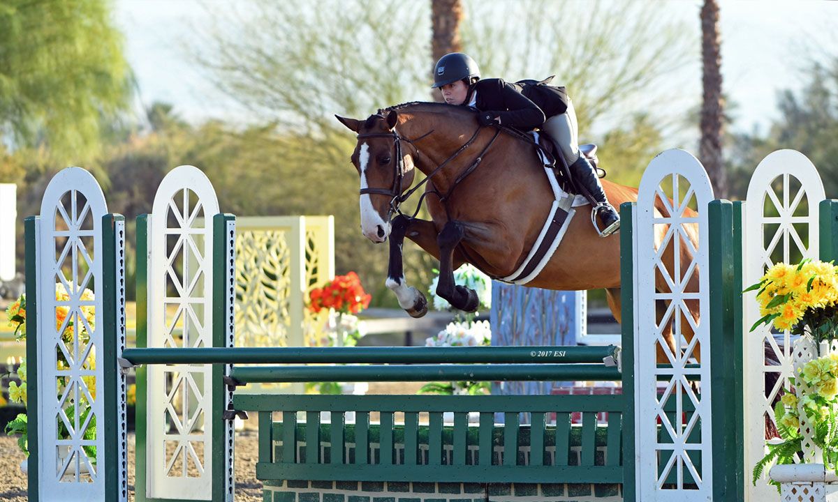 Parkside Stables