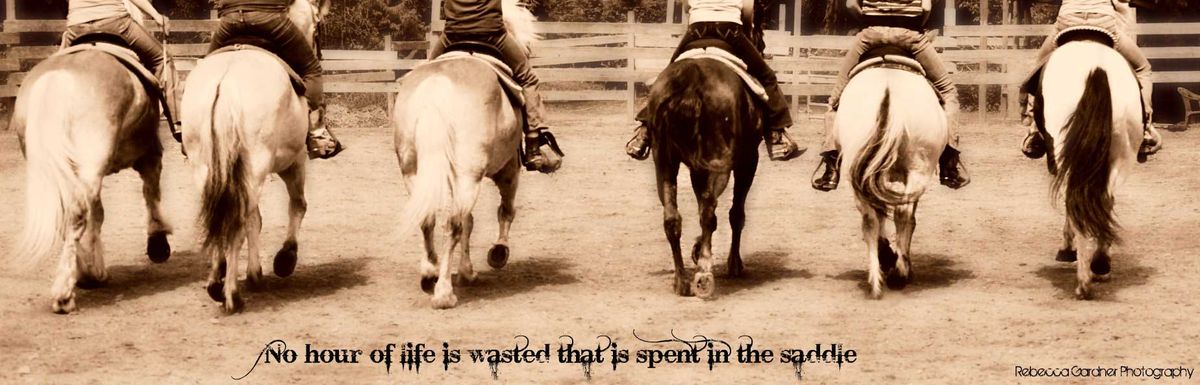 Pets Galore Horseback Rides photo 1