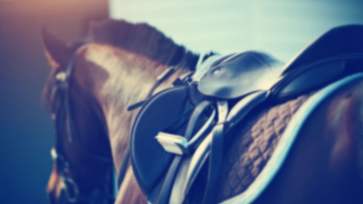 Pets Galore Horseback Rides