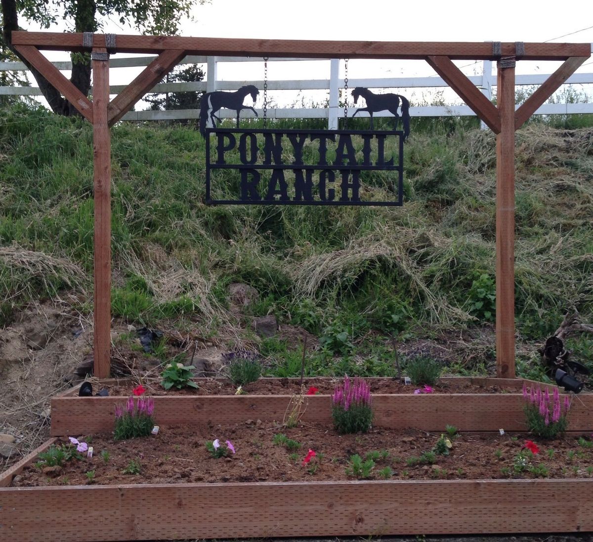 Pony Tail Ranch photo 1