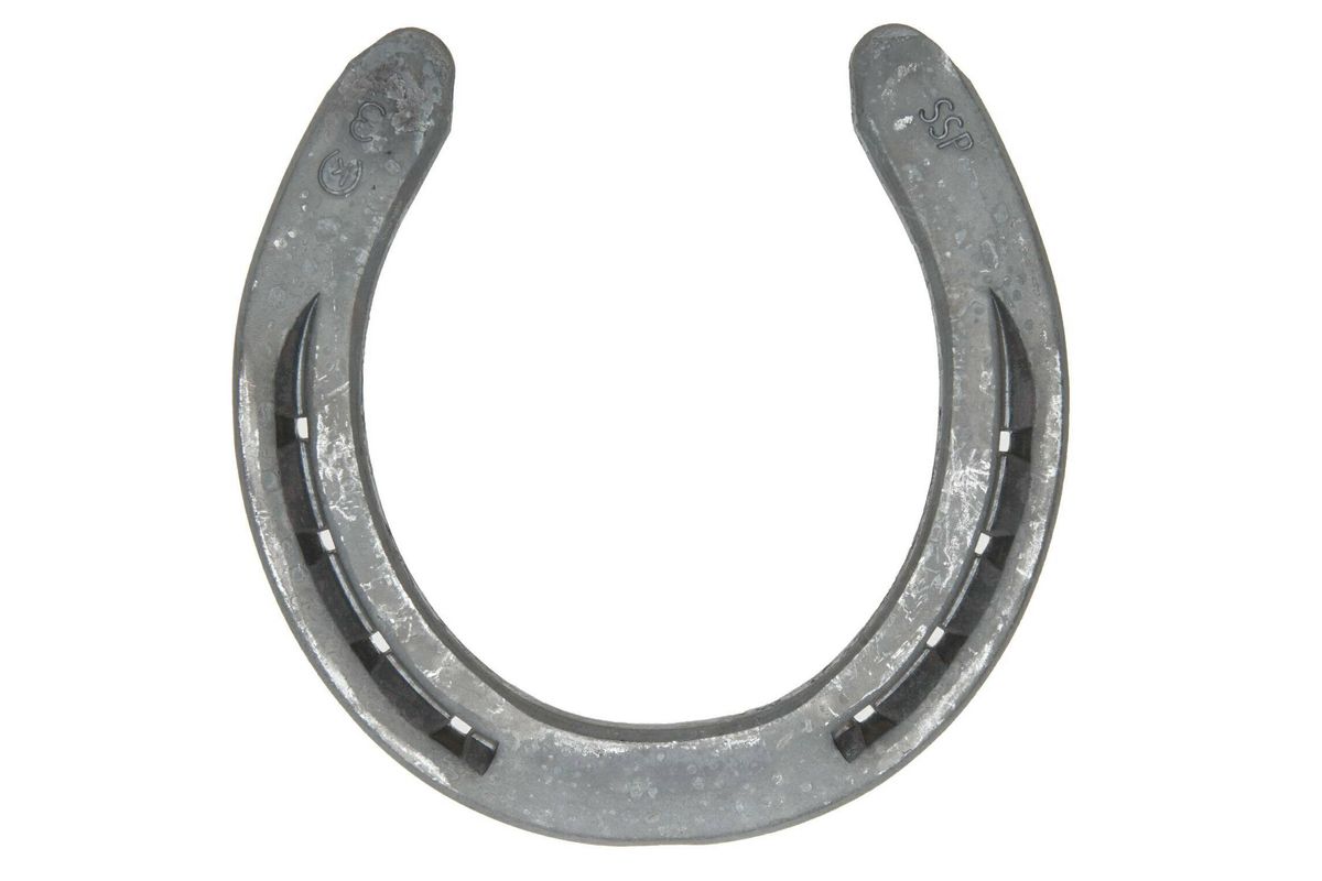 Pony Tail Ranch