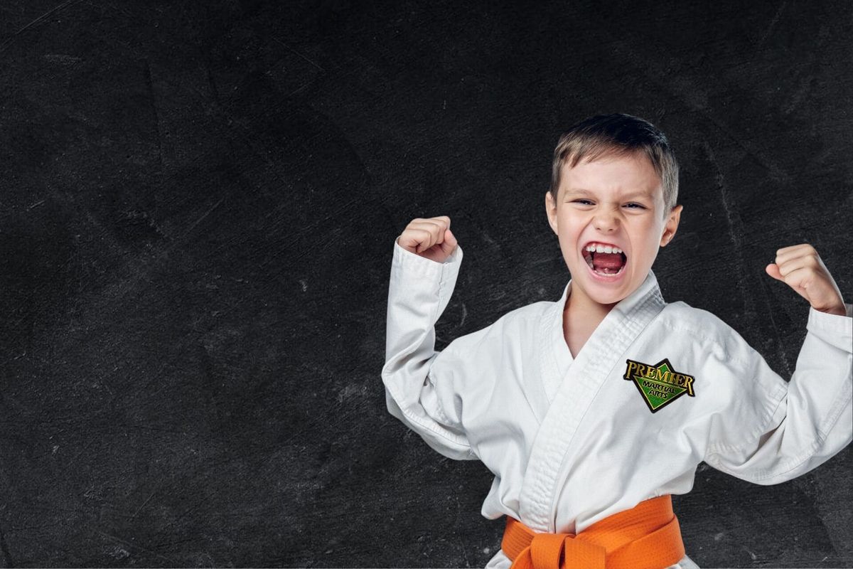 Premier Martial Arts Sammamish Town Center photo 1