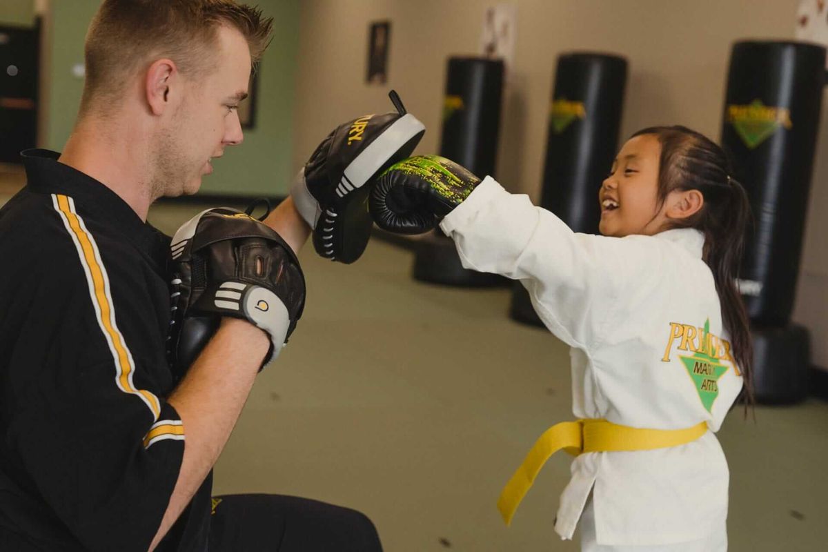 Premier Martial Arts Sammamish Town Center photo 2