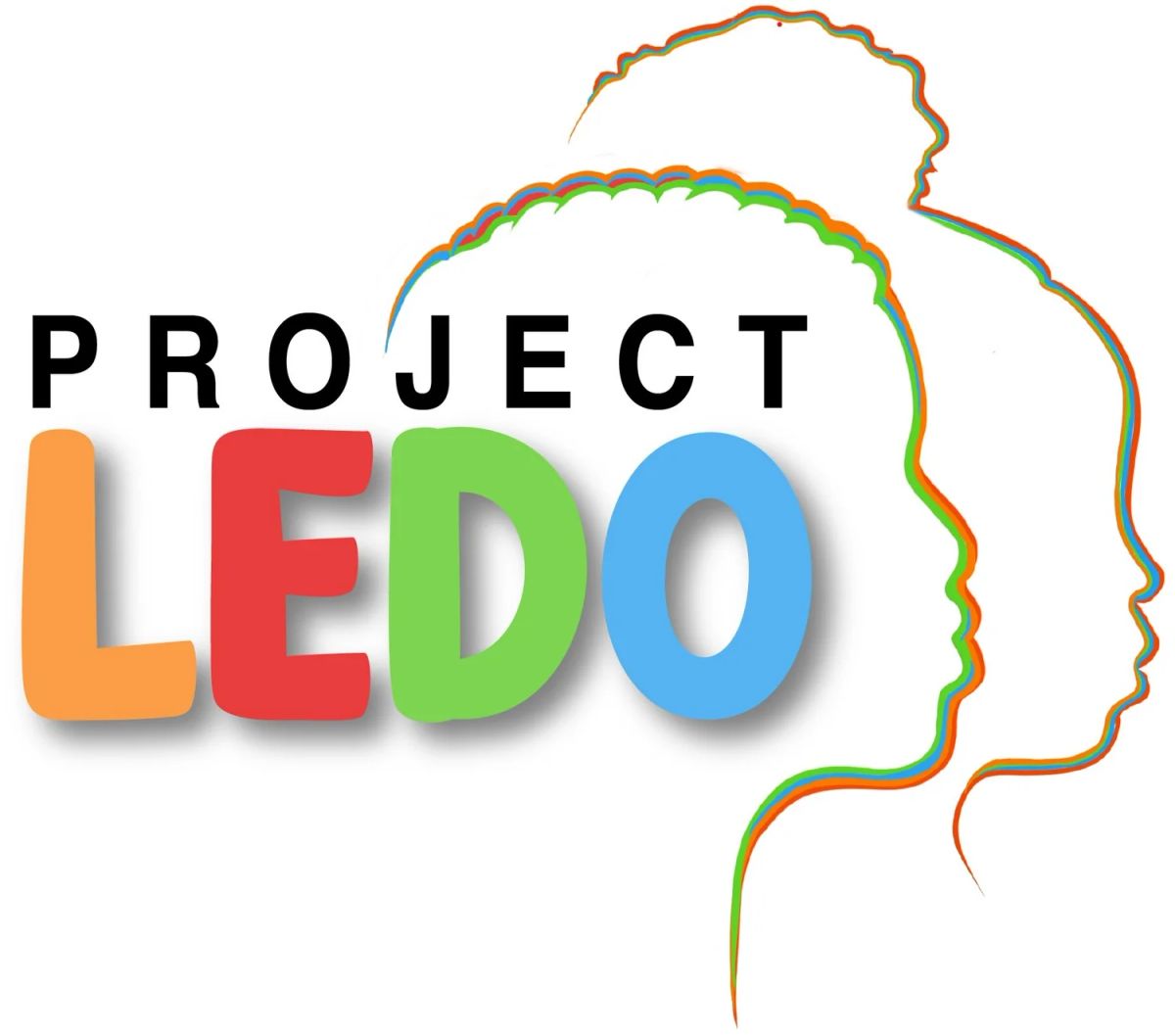 Project LEDO photo 1