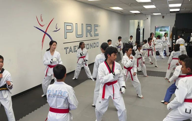 Pure Taekwondo