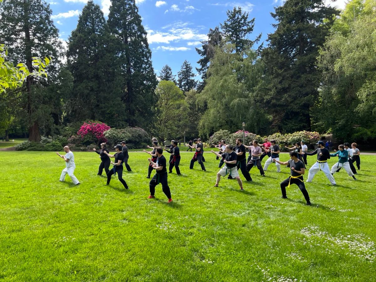 Quantum Martial Arts