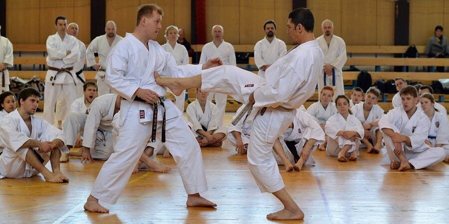 Rokah Karate & Jiu Jitsu photo 1