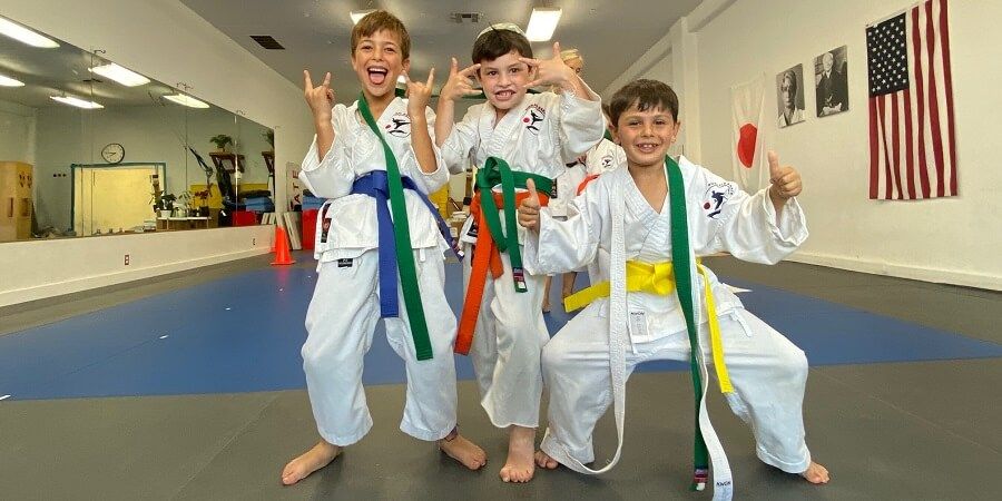 Rokah Karate & Jiu Jitsu photo 2