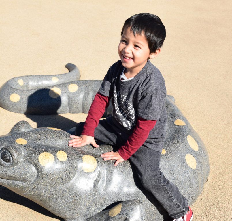Rotary PlayGarden photo 1