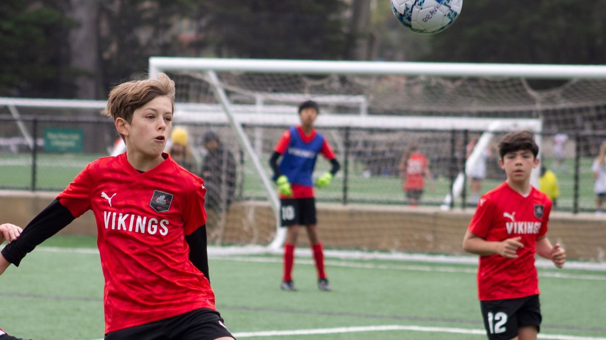 San Francisco Vikings Soccer Club photo 2