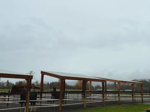 Sauvie Island Stables photo 2